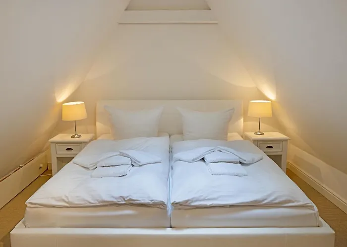 Austernfischer ליסט